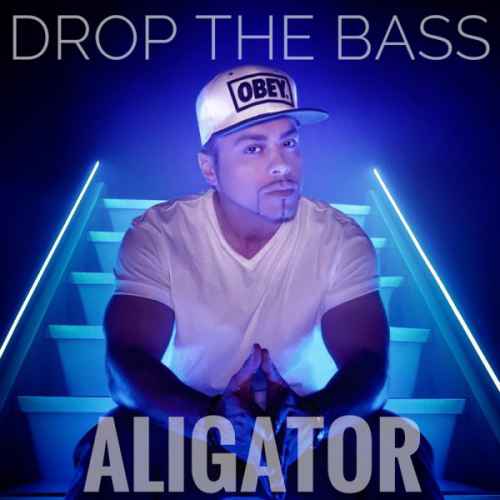 دانلود آهنگ Dj Aligator Drop The Bass