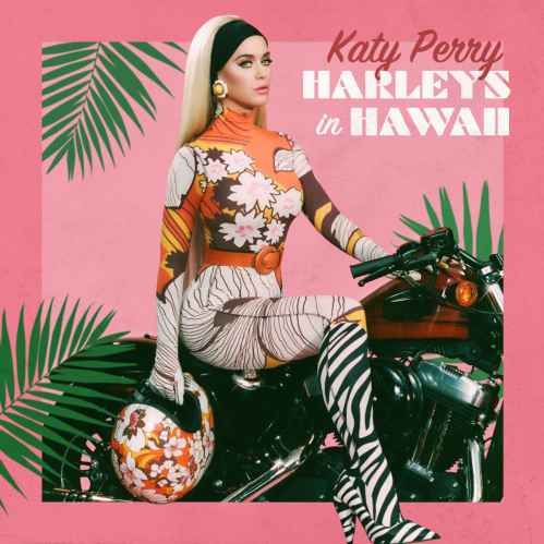 دانلود آهنگ Katy Perry Harleys In Hawaii