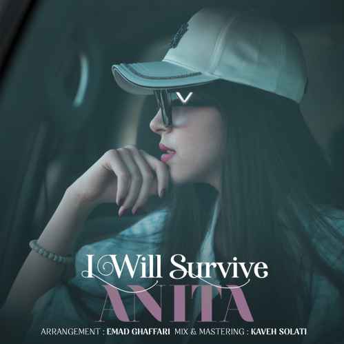 دانلود آهنگ آنیتا I Will Survive