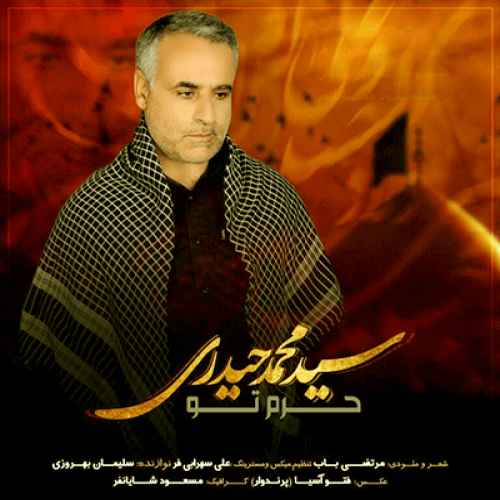 دانلود نوحه ما که یه عمری در این خونه اسیریم از سید محمد حیدری